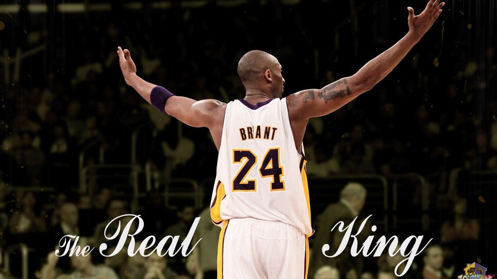 北纬零度的风暴，厄瓜多尔绝杀乌拉圭，哈兰德在北半球写下唯一神话